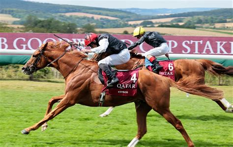 Goodwood Cup Tips 2025 